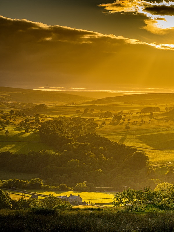 Beautiful view of a field