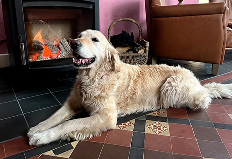 Dog Friendly Lodge North Yorkshire: Stay with Your Dog at St Michael’s Lodge